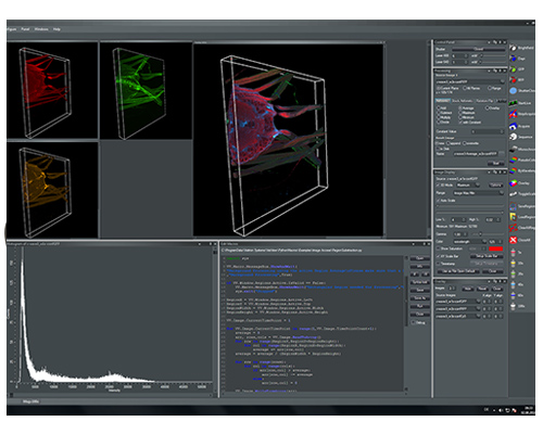 Gataca Systems software