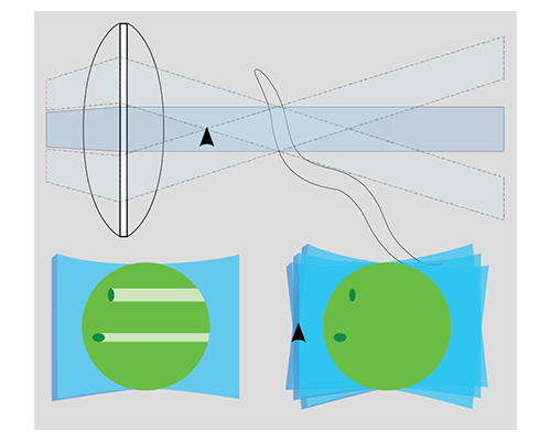 Light Sheet lens diagram